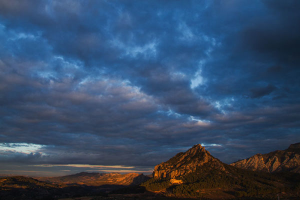 HORTA_MG_0012